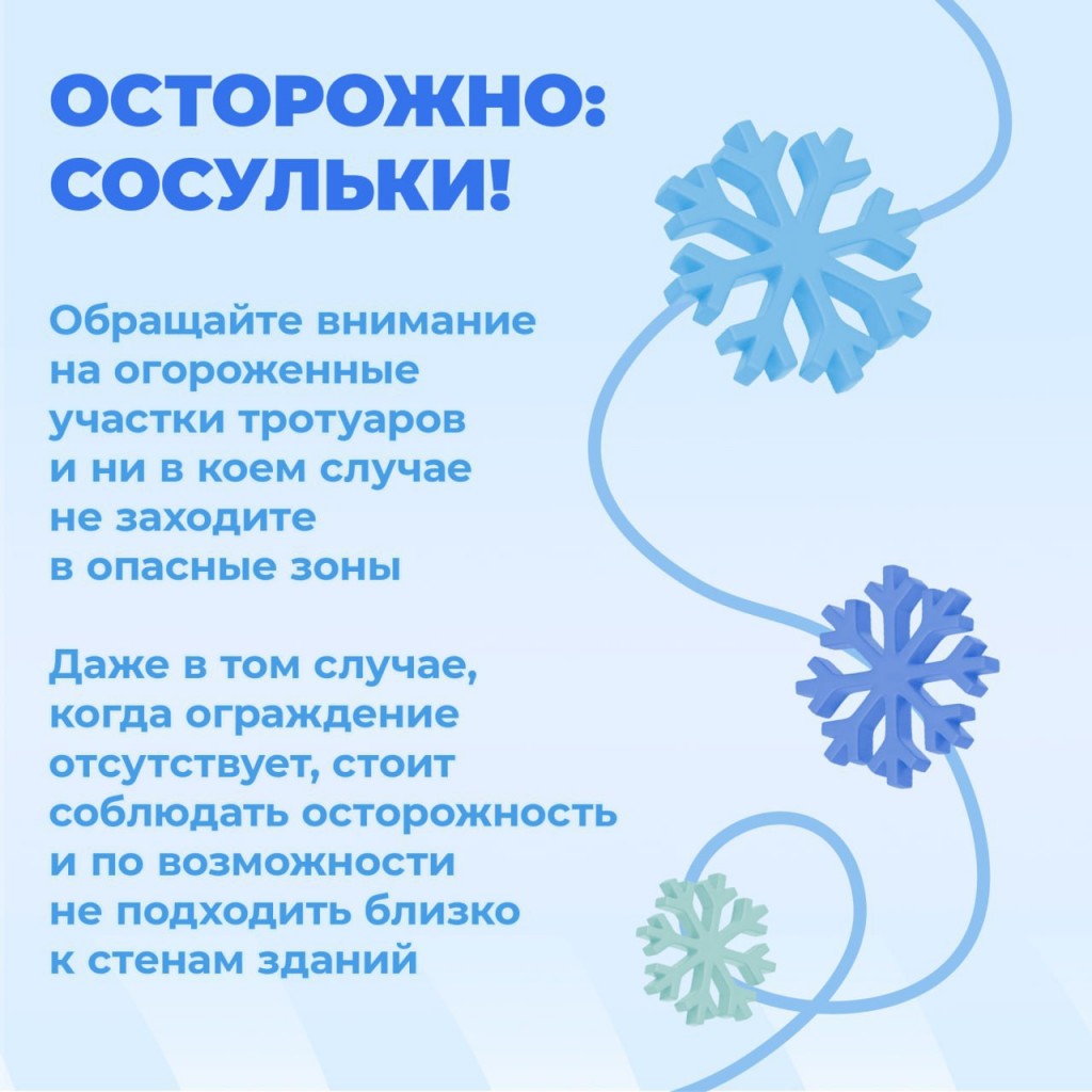 IMG_20250205_163947_797